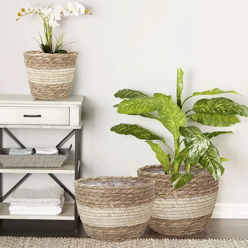 Handwoven Straw Plant Basket — Natural Indoor & Outdoor Planter Cover