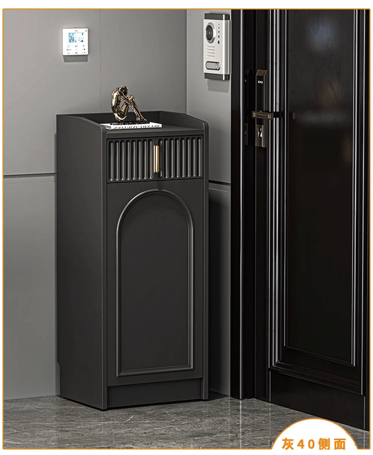 Storage Modern Shoe Rack Entryway Expandable Living Room Cupboards Shoe Rack Space Saving Vertical Sapateira Home Furniture